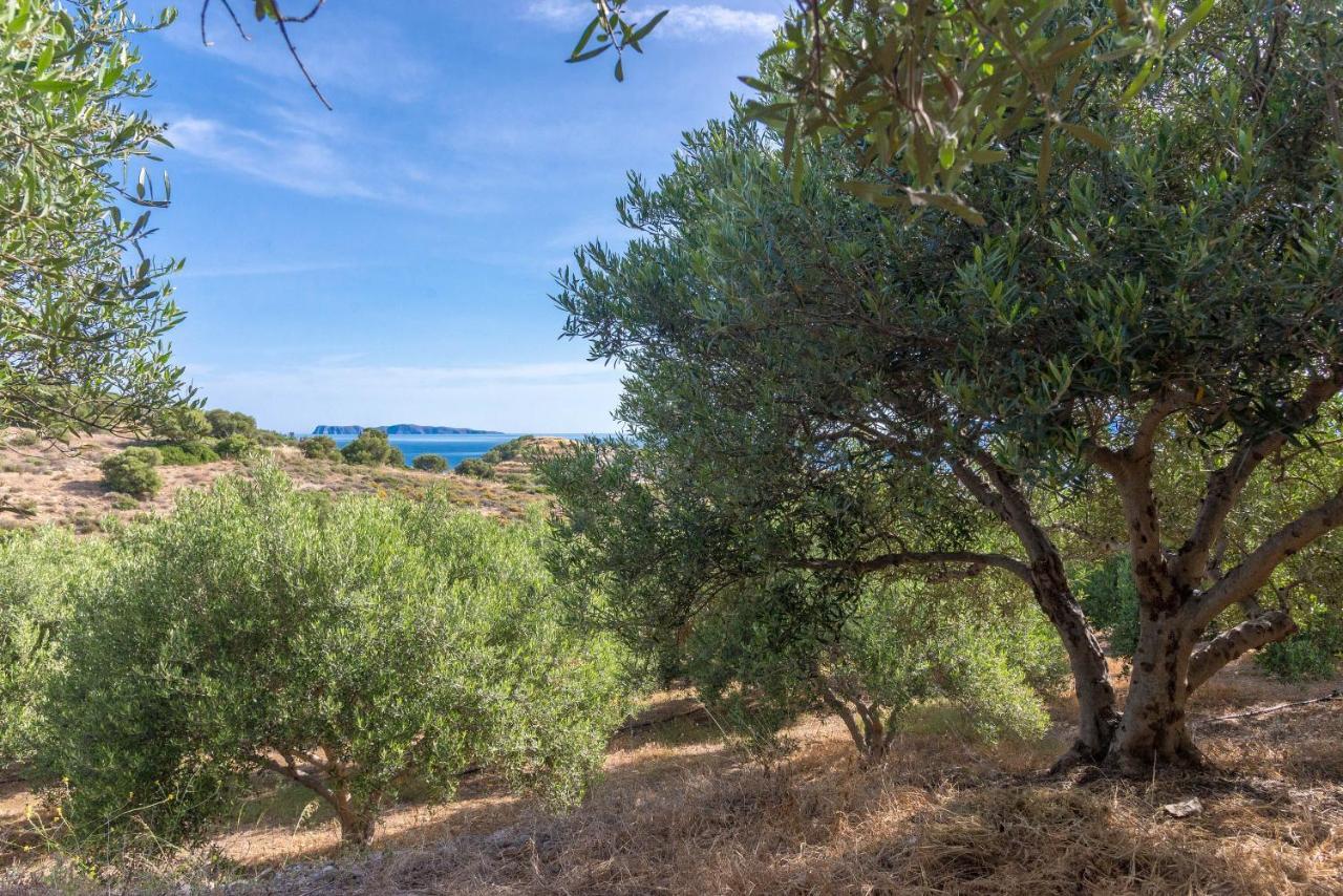 Villa Palma Sitia  Exteriör bild
